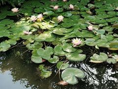 -晓港公园