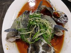 -蚝专家(北滘店)