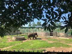 -西安秦岭野生动物园