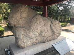 -茂陵博物馆