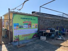 -大自然农场蔬菜草莓采摘园