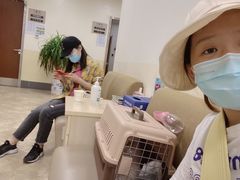 -美联众合动物医院·24h转诊中心