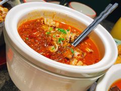 酸汤章鱼粉丝-新白鹿餐厅(松江开元地中海店)