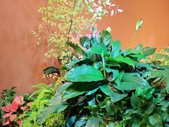 -隐炉和牛烧肉店(群力店)