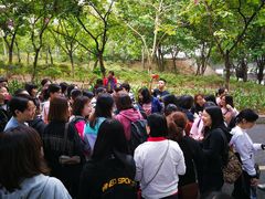 -松山湖南湖湾露营营地