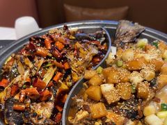 -锦尚阁烤鱼(望京新荟城店)