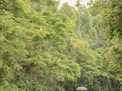 -长洲岛