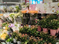 -伊藤洋华堂(温江店)