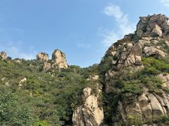 -大岭沟猕猴桃谷风景区