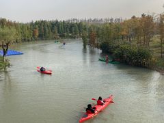 -上海长兴岛郊野公园