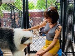 -TrueLove @ Neverland (Husky Cafe)