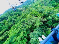-富斯特索道