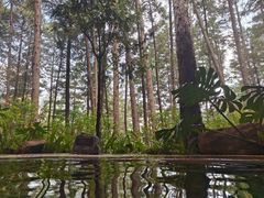 -华宁象鼻温泉旅游文化度假区