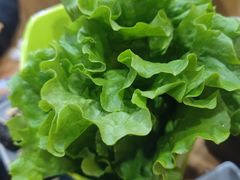 -小米烤肉·和牛原切-创意韩料(东关店)