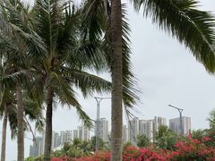 -中澳友谊花园