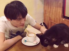 -猫色咖啡·猫咖