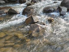 -广州白江湖森林公园