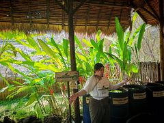 -大象粑粑造纸公园