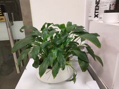 -中田健身工作室(东园店)