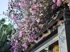 -深圳国际园林花卉博览园