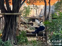 -灵玲国际马戏城