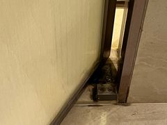 -北京康莱德酒店