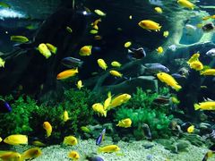 -福州罗源湾海洋世界旅游区