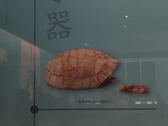 -辽宁省博物馆