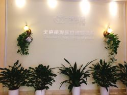 -碧莲盛·不剃发植发