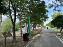 -金银湖国家城市湿地公园