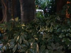 -江天生态园餐厅