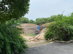 -平湖九龙山旅游度假区