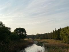 -苏州太湖湖滨国家湿地公园