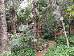 -呀路古热带植物园