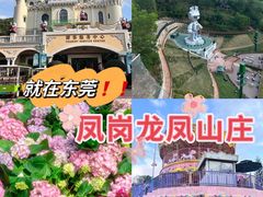 -龙凤山庄影视度假村