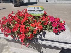 -乌鲁木齐天山国际机场-T3航站楼