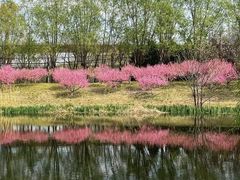 -大望京公园