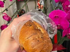 核桃红豆盐面包-都恩客(高岛屋百货店)
