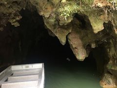 -怀托摩萤火虫洞