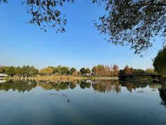 -九里河湿地公园