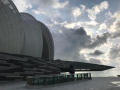 -野狸岛