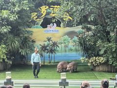 -广州长隆飞鸟乐园