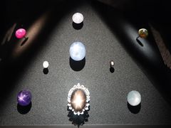 -美国自然历史博物馆