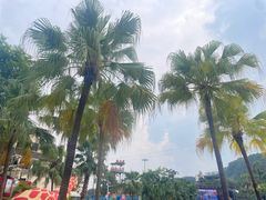 -重庆海昌加勒比海水世界