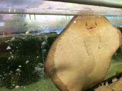 -鸿通城购物中心