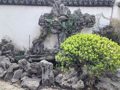 -上海醉白池公园