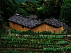 -杨家堂村
