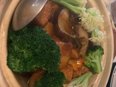 日式花菇豆腐煲-T館·花园艺术餐厅