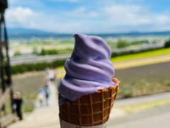 -富田农场