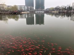 -西海子公园